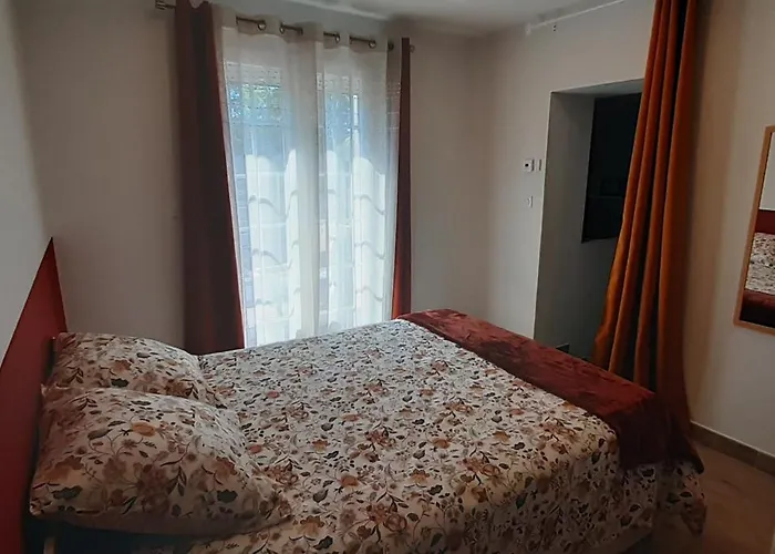 Les Chants Du Bonheur *